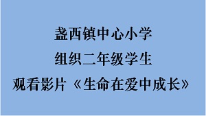 盏西镇中心小学对二年级年级学生进行《生命在爱中成长》影片播放