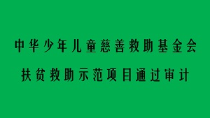 中华少年儿童慈善救助基金会扶贫救助示范项目通过审计