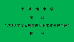 十里铺中学荣获“2013年度心理咨询行业工作先进单位”称号