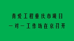 青爱工程重庆市项目一对一工作坊在京召开