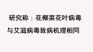 研究称:花椰菜花叶病毒与艾滋病毒致病机理相同