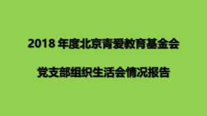 2018年度北京青爱教育基金会党支部组织生活会情况报告