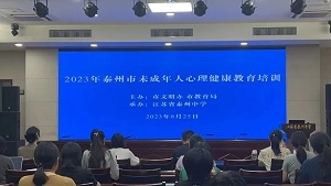 青爱基金会未成年人心理健康培训在泰州市举办