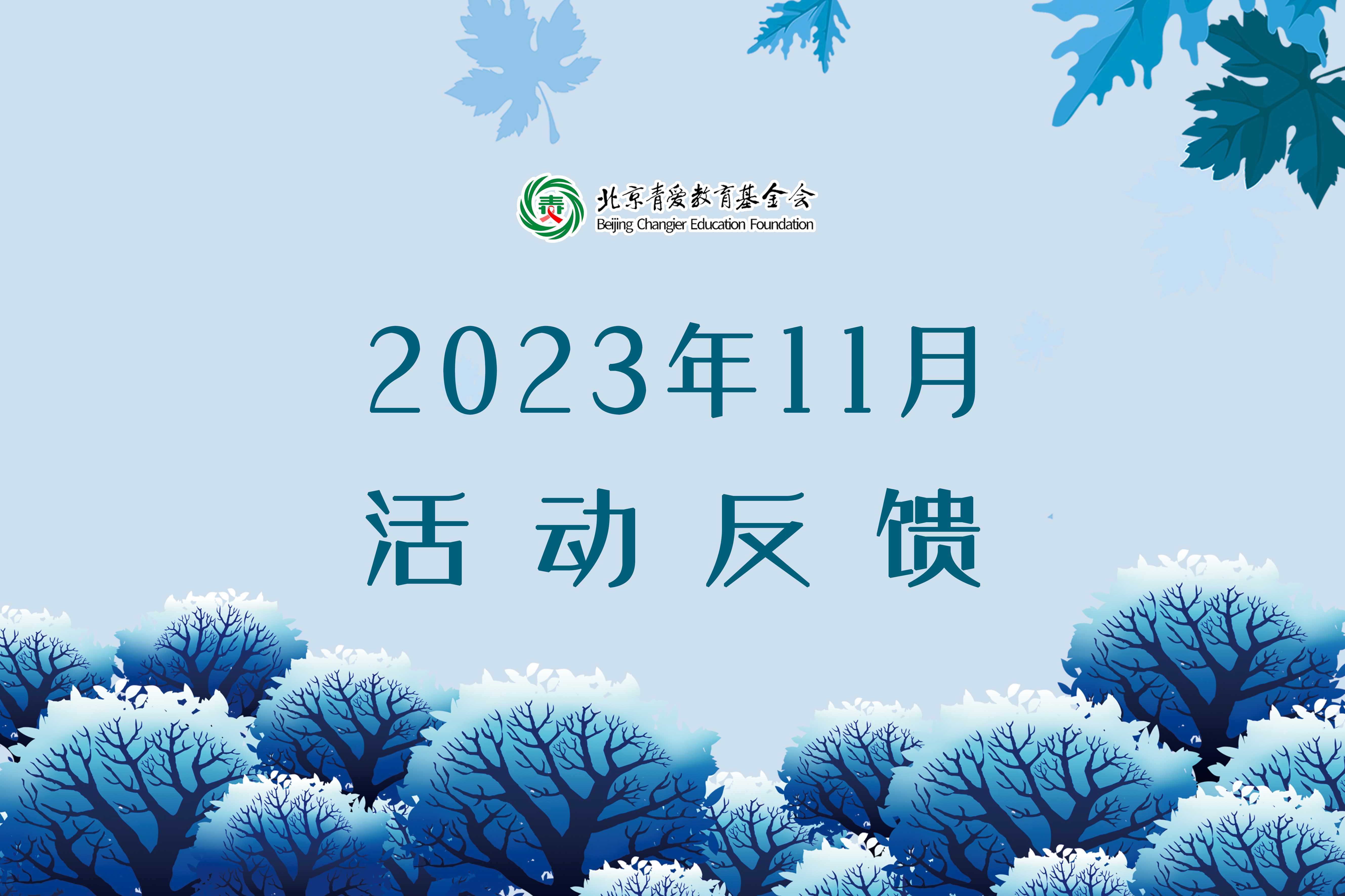 2023年11月项目反馈