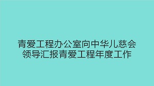 青爱工程办公室向中华儿慈会领导汇报青爱工程年度工作