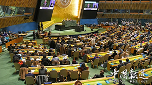 【中国报道】北京青爱教育基金会代表团在联合国妇女地位委员会第69届会议上 展现中国担当 贡献中国方案