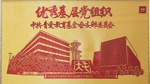 喜报 | 北京青爱教育基金会党支部荣获“先进基层党组织”称号