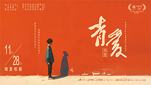 电影《青爱》新闻发布会媒体报道合集