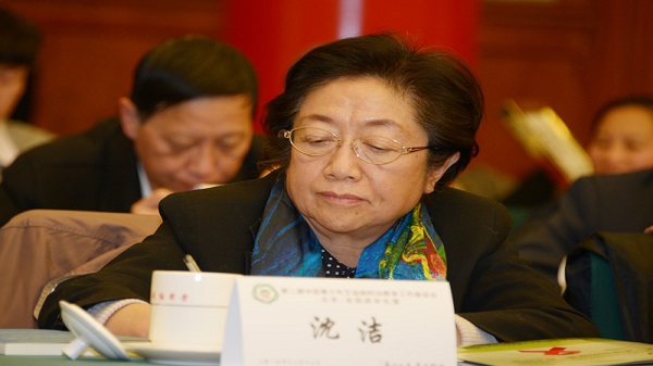 中国性病艾滋病防治协会副会长沈洁