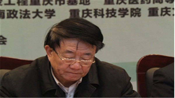 中国民进中央副主席、青爱工程总顾问王佐书