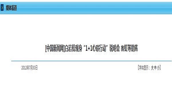 [中国新闻网]白岩松现身“1+1心联行动”说明会 翁虹等助阵