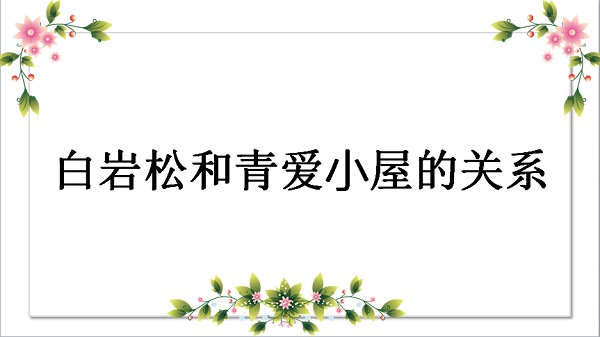 白岩松和青爱小屋的关系是什么？